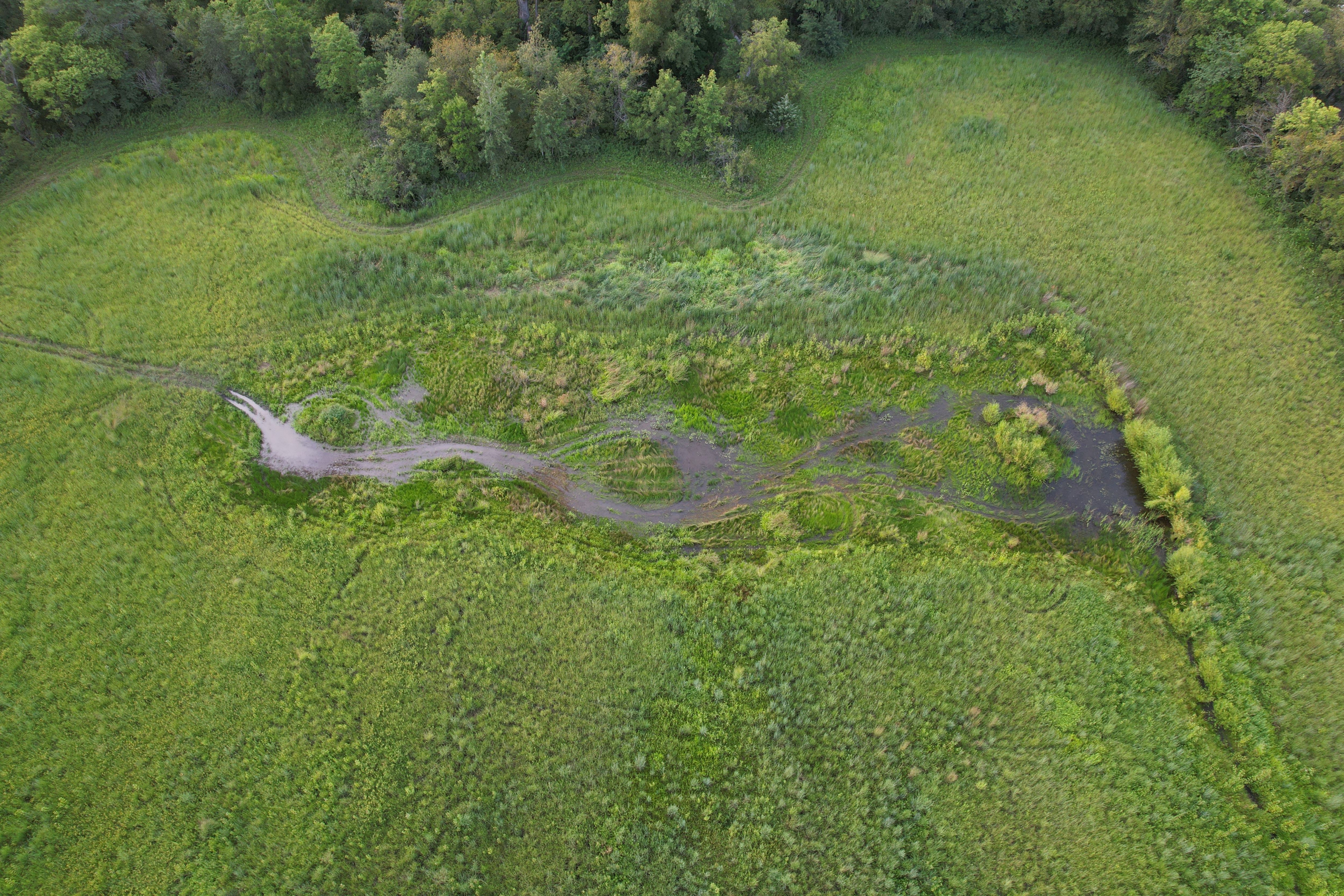 Listing Photo: Krumme Drone (27)